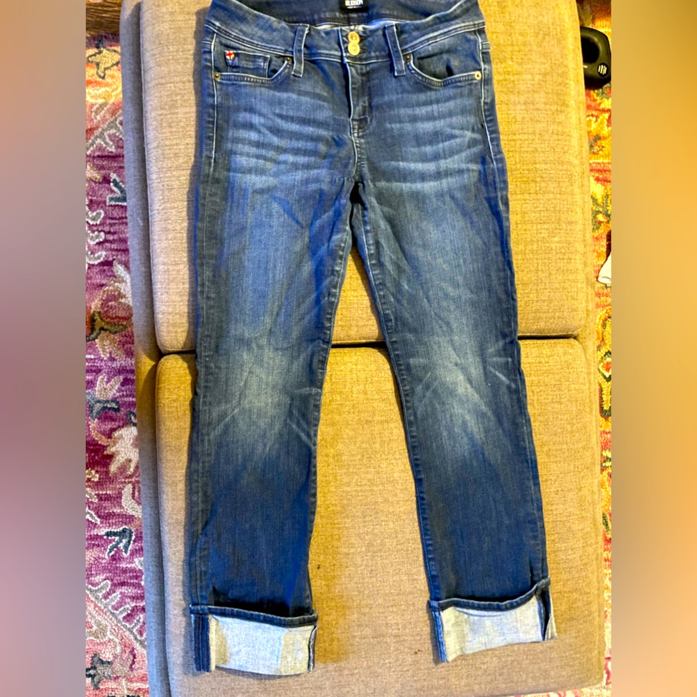 Hudson denim